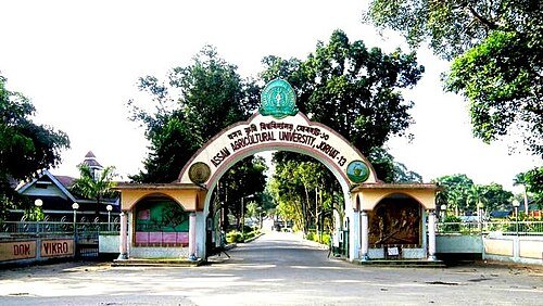 Raichur Institute of Pharmacy, Raichur
